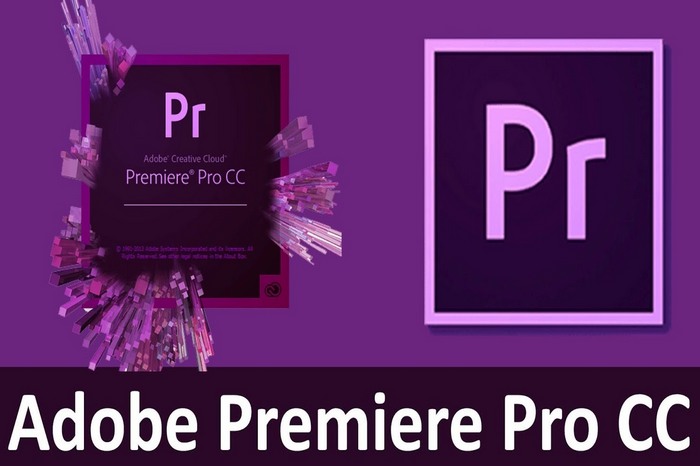 Поставка программного обеспечения Adobe Premiere Pro CC для ГБОУ Школа № 1589