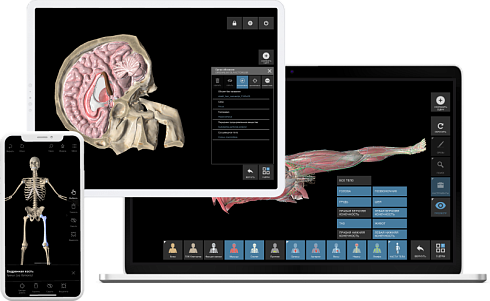 Фото интерактивный анатомический стол «пирогов i»