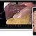 Фото интерактивный анатомический стол «пирогов», модель «пирогов ii»